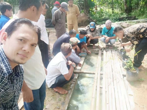 Dinas Perikanan Mesuji Penyuluhan Budidaya Ikan Lele di Desa Adi Luhur