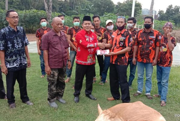 Bupati Lampung Timur Bantu Satu Sapi Untuk Qubran Pemuda Pancasila Lampung Timur