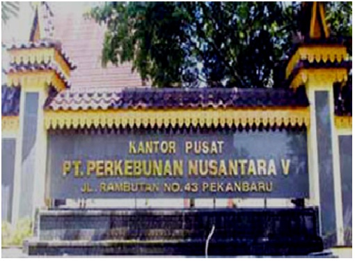 Korupsi Dana Koperasi Petani Kelapa Sawit Hingga Rp100 Miliar Oknum Pejabat dan PTPN V Riau Dilaporkan ke Kejaksaan