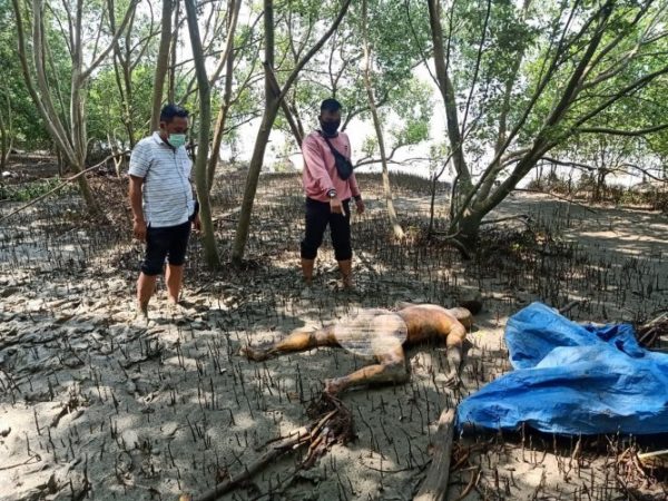 Belum Sepekan Dua Mayat Pria Ditemukan di Dente Teladas Satu Tanpa Kepala Satu Tanpa Busana