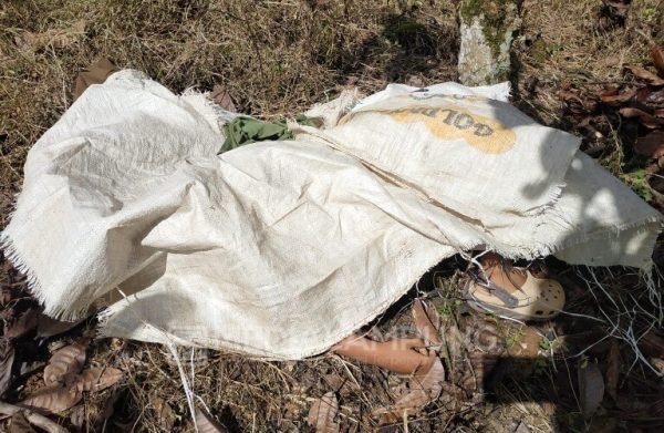 Cekcok Soal Ekonomi dan Biaya Sekolah Dikebun Kopi Ayah Habisi Istri dan Anaknya Dengan Golok