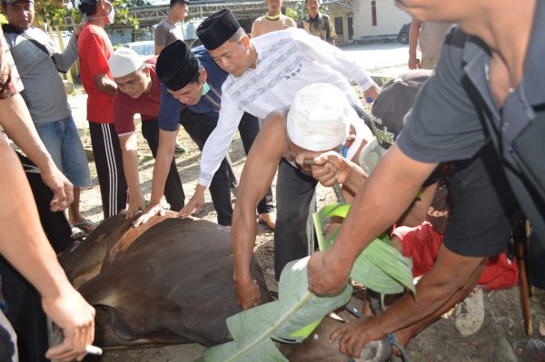 Polres Tulang Bawang Sembelih Satu Kerbau Enam Sapi dan Dua Kambing Qurban di Mapolres