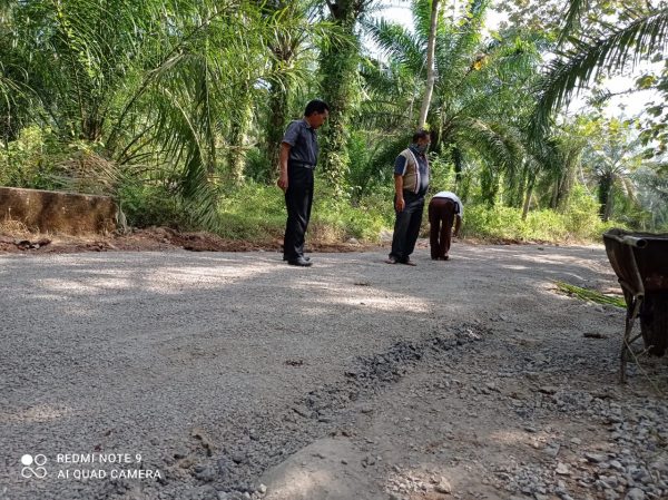 Ada Proyek Jalan Lapen Siluman Asal Asalan di Tengah Kebun Sawit Pekon Waya Kruy-Sri Rahayu Pringsewu