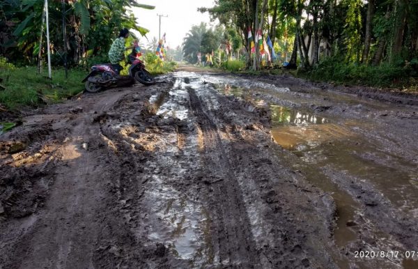 Warga Keluhkan Jalan Kampung Bumi Rejo Kusumajaya Bekri Bak Kubangan Sawah