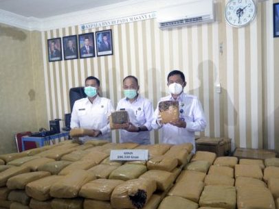 BNNP Lampung Amankan 200 Paket Ganja Asal Medan Satu Tersangka Coba Kabur Dari Kantor BNN Dan Tertembak