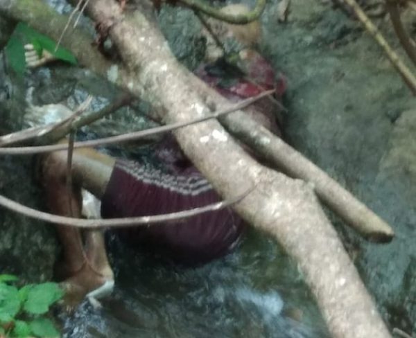 Hilang Sepekan Kakek 90 Tahun Ditemukan Tewas di Tepi Sungai Lereng Gunung Loro Ireng