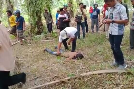 Mengaku Korban Begal Warga Abung Tengah Ditemukan Tergeletak Penuh Luka di Kebun Sawit