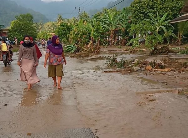 Banjir Sungai Sedayu Rusak Ratusan Hektar Sawah Siap Panen 