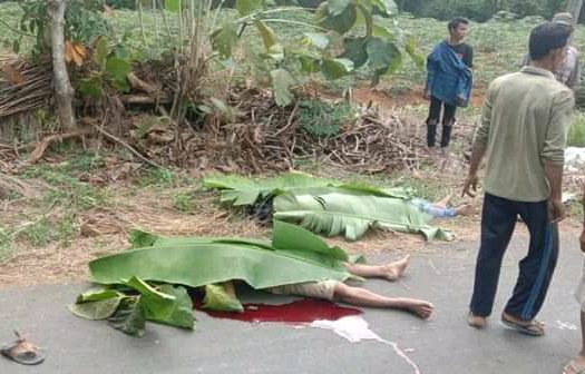 Dua Pengendara Motor Tewas Adu Kambing Dengan Truk Tanpa Muatan