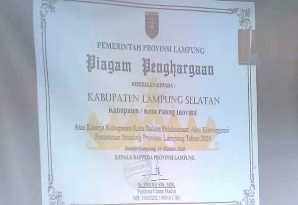 Dinilai Paling Inovatif, Lamsel Raih Penghargaan Penanganan Stunting