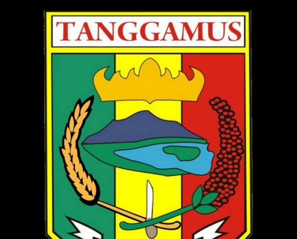 Pengumuman Hasil Akhir Penerimaan CPNS Formasi Tahun 2019 Tanggamus Melalui website resmi Pemkab