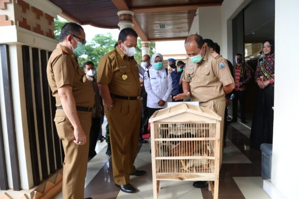 Kunker Ke Lamsel, Gubernur Lampung Serahkan Bantuan Puluhan Ribu Ternak Unggas