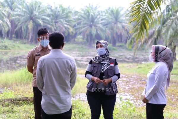 Wagub Chusnunia Tinjau Calon Lokasi Program Desa Berjaya Tahun 2021 di Desa Rejosari