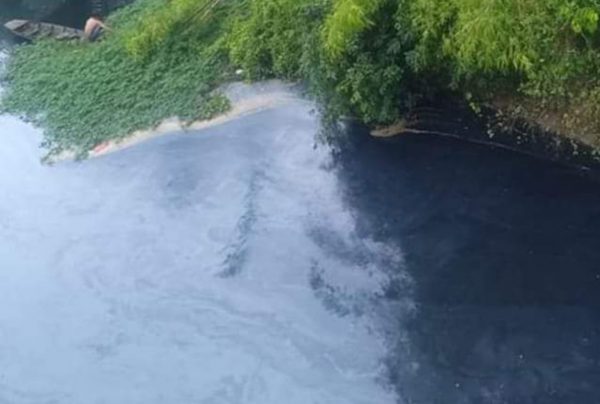Lapor Pak Gubernur, Nelayan Sungai Way Sekampung Kehilangan Mata Pencarian Dan Sungainya Kini Kembali Tercemar Hitam Pekan Dan Bau?