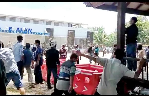 Kisruh Masa Ganggu Pleno KPU Pesisir Barat Polisi Tahan Delapan Orang