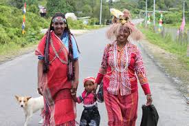 Laksda TNI (Purn) Soleman Ponto : Situasi di Papua Saat Ini Bukan Konflik Bersenjata