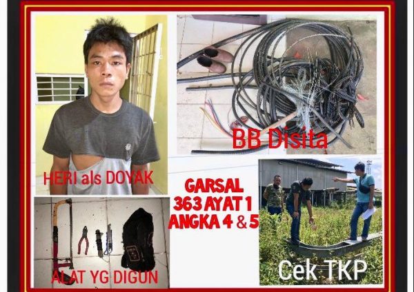 Pemuda Bobol PT Medco LPG Kaji Tertangkap Tangan Satpam Diserahkan Ke Polsek Lais