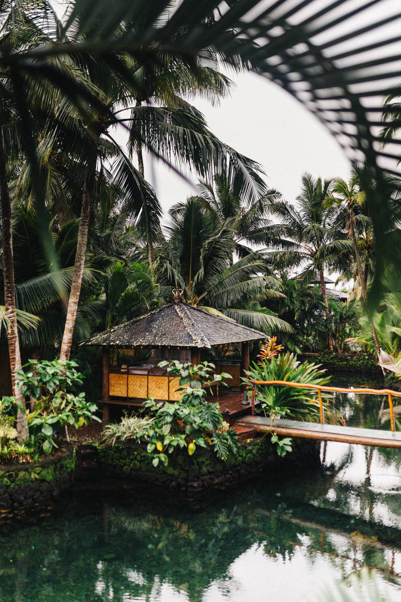 A New Asset Class? Bitcoin’s Bid to Go Mainstream