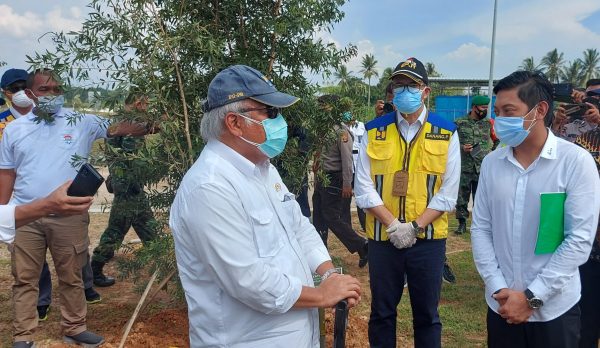 Menteri PUPR Basuki Hadimulyono Tanam Pohon Kayu Putih di Tol Lampung
