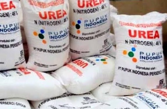 Klasiknya Kelangkaan Pupuk Subsidi Musim Tanam, DPD RI Minta Polisi Tangkap Distributor Nakal