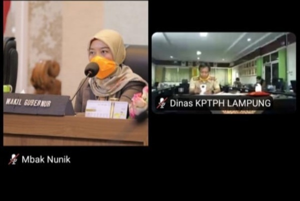 Wagub Chusnunia Minta Segera Cari Solusi Atasi Keluhan Pupuk di Kalangan Petani