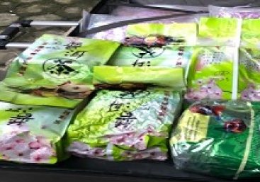 Sat Narkoba Lampung Selatan Gagalkan Pengiriman 4 Kg Sabu Libatkan Bapak dan Anak