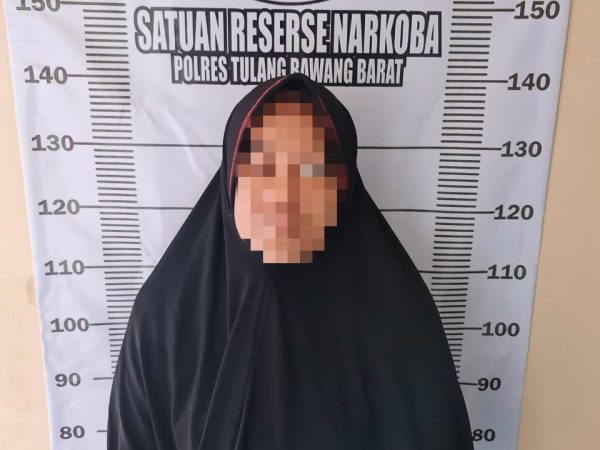 Jualan Narkoba IRT Asal Menggala Ditangkap Sat Narkoba Polres Tubaba