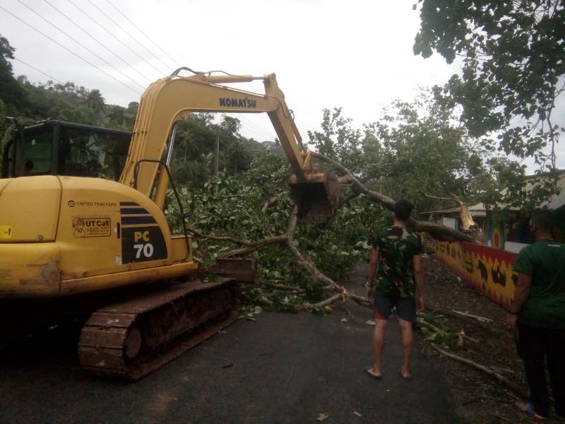 Prajurit Puslatpurmar 8 Teluk Ratai Bantu Masyarakat Bersihkan Pohon Tumbang