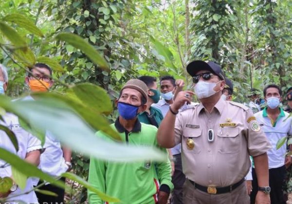 Nilai Tukar Petani Lampung Terendah Se Sumatera dan Peringkat ke-27 Nasional?