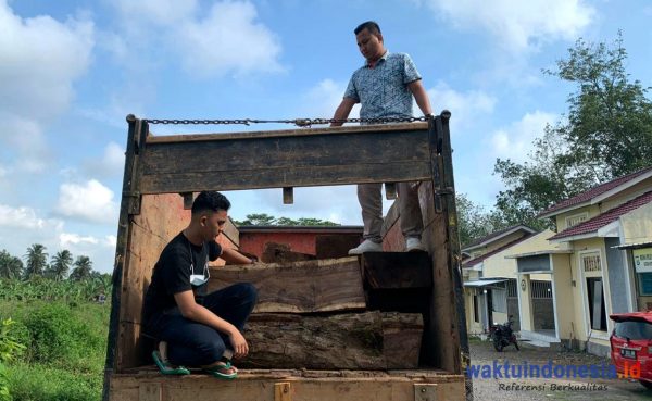 Lagi Polres Pesawaran Tangkap Pelaku Ilegal longging Dari Kawasan Register