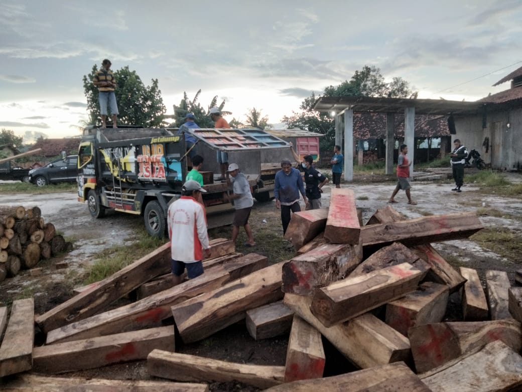 Tim Gabungan Grebek Gudang Kayu Ilegal Melibatkan Oknum TNI Polri di Pringsewu