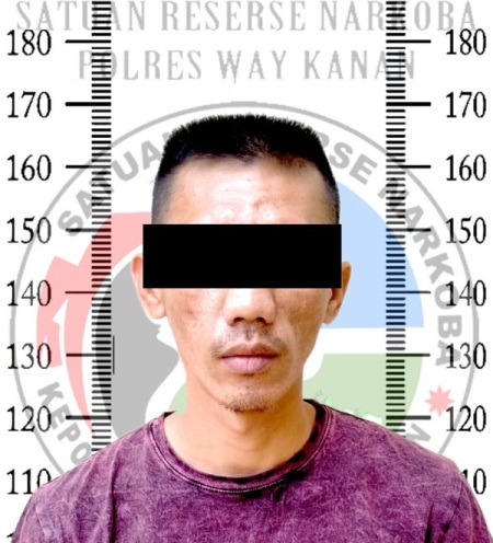 Satres Narkoba Polres Way Kanan Ringkus Pengedar Sabu