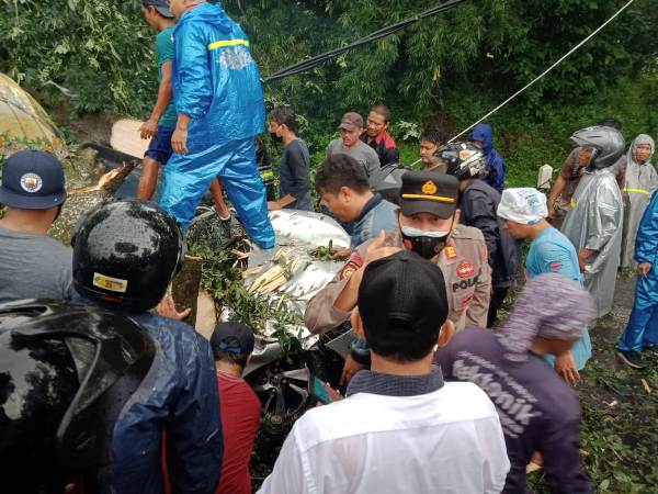 Sebuah Minibus Tertimpa Pohon Tumbang, Empat Orang Meninggal Dunia