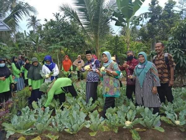 KWT Di Pringsewu Akan Kembali Mendapat Bantuan Dari Kementan RI