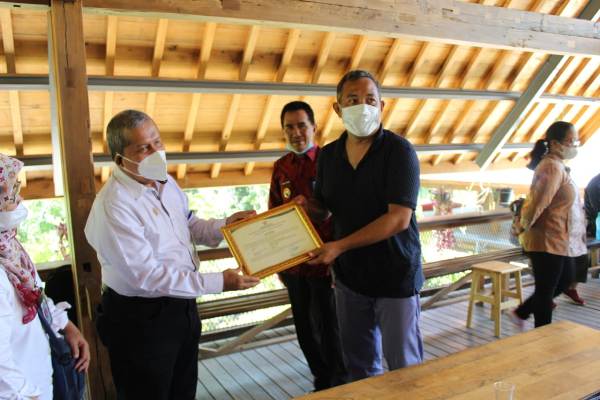 Mangga Varietas Isem Kumbang Ditetapkan Sebagai Tanaman Khas Daerah Tubaba