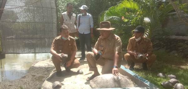 Kepala Dinas Perikana Kabupaten Tubaba Ajak Masyarakat Lestarikan Kura-kura