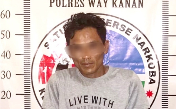 Satres Narkoba Polres Way Kanan Kembali Ungkap Peredaran Gelar Narkoba