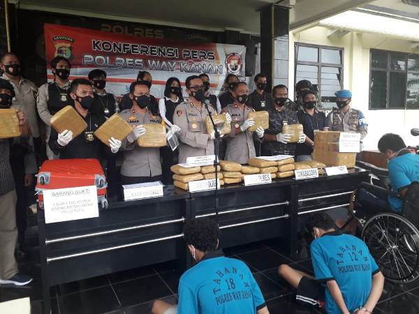Polres Way Kanan Gagalkan Peredaran Ganja