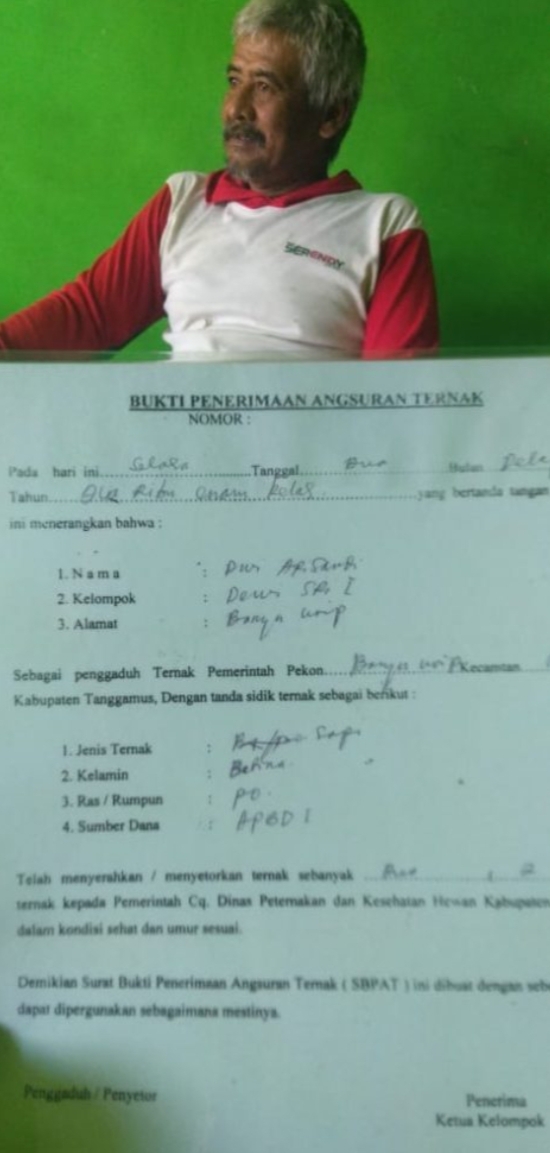 Bantuan Sapi Diduga dijadikan Ajang Pungli, Kadis Pangan dan Peternakan Tanggamus ‘Bak Hilang Ditelan Bumi’