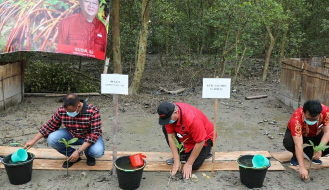 Ajak Masyarakat Peduli Lingkungan, Bupati Nanang Bersama Ketua Komisi IV DPR RI Tanam Mangrove