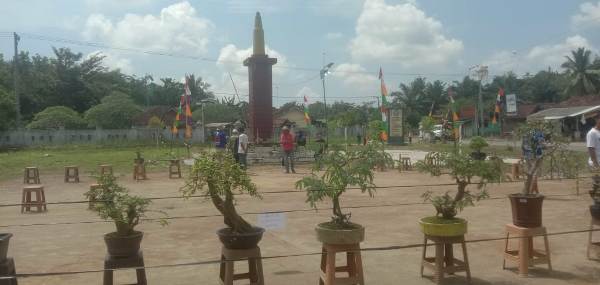 Jalin Silaturahmi, Komunitas Gembong-Q Jemur Gelar Jemur Bonsai Dan Ngopi Bareng 