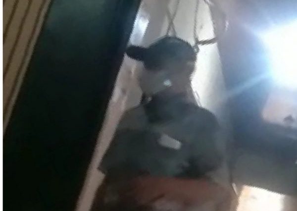 Krimum Polda Lampung Periksa Pemeran Pria Dugaan Mesum Melibatkan Oknum Anggota Dewan Pesawaran