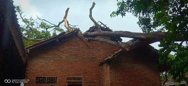 Rumah Warga Sumberejo Rusak Parah Diterjang Angin Puting Beliung