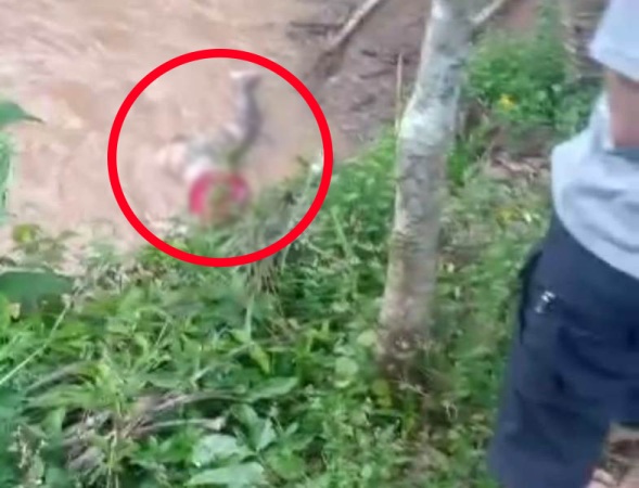 Mayat Pria Berbaju Merah Ditemukan Mengapung di Sungai Desa Tulung Balam