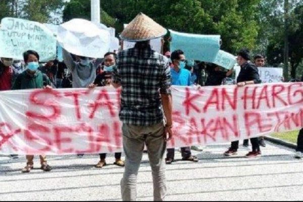 Didemo Aliansi Pemuda Parosil Gagal Sejahterakan Petani Lampung Barat?