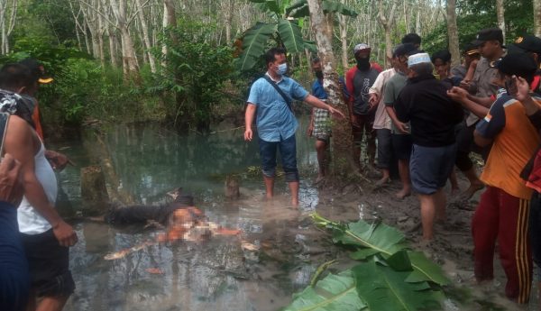 Polsek Dente Teladas Identifikasi Penemuan Mayat Di Rawa Panjang