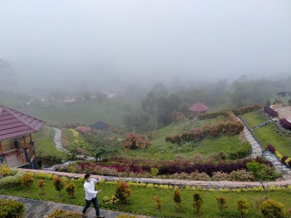 Wisata Kebun Raya Liwa Kembali Dibuka Dengan Tetap Terapkan Protokol Kesehatan