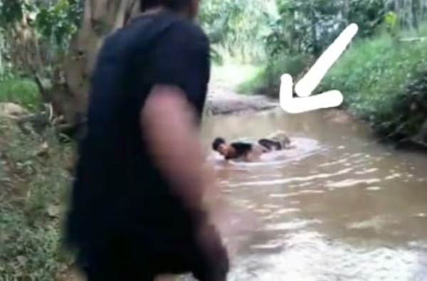 Mancing di Sungai, Bocah SD di Serang Ular Piton 