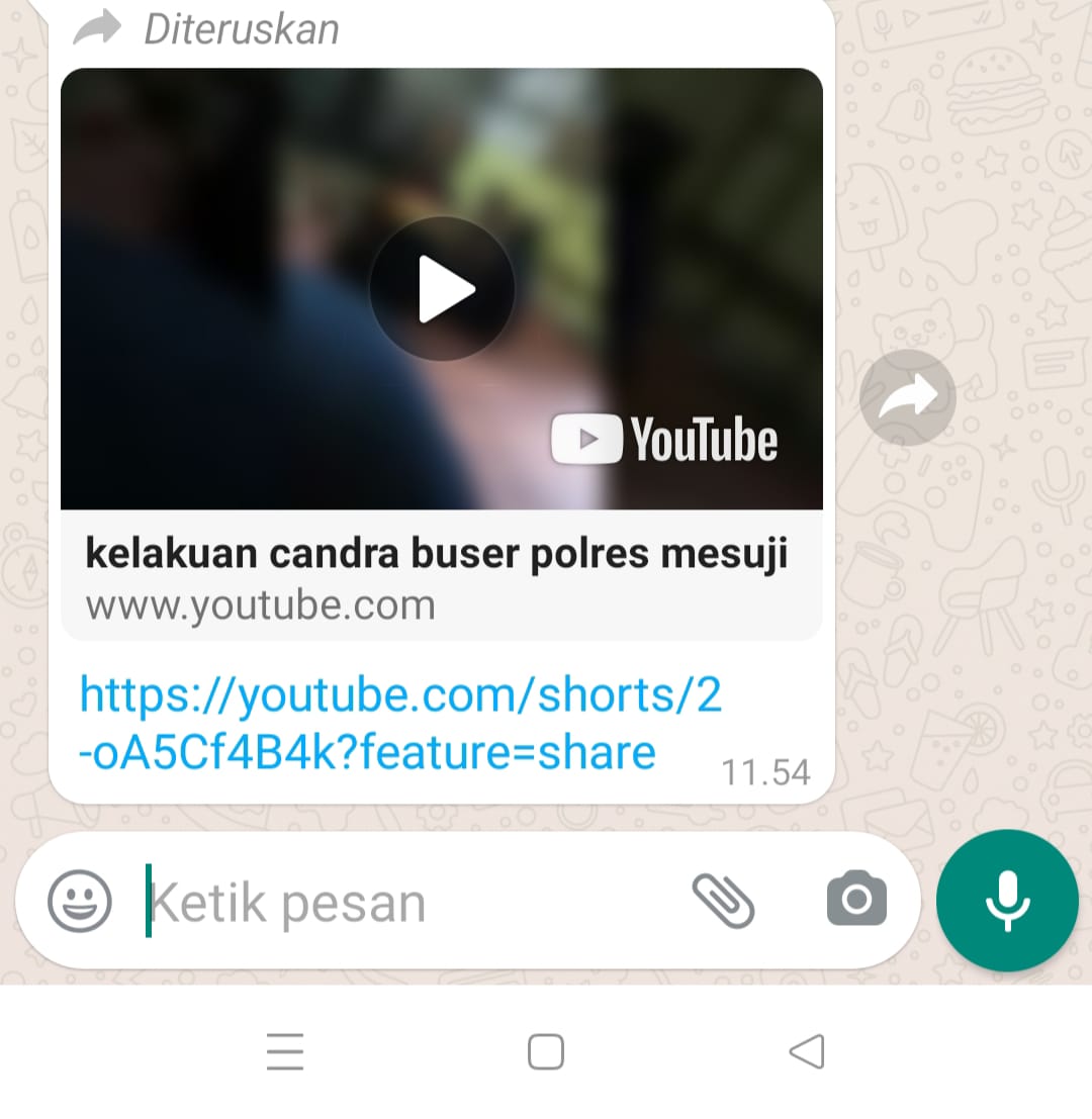Viral Video Oknum Wartawan di Mesuji Pesta Miras Sambil Bawa Institusi Polri