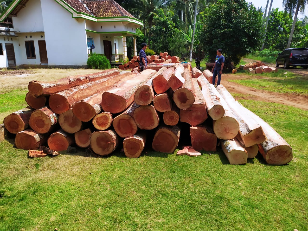 Polsek Marga Sekampung Tangkap 9 Pelaku Ilegal Longging Reg 38 Amankan 161 Balok Kayu Bayur